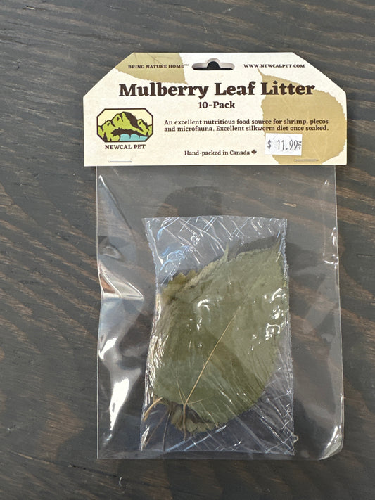 Mulberry Leaves