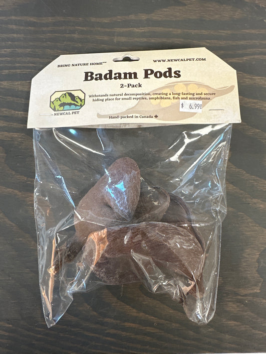 Badam Pods